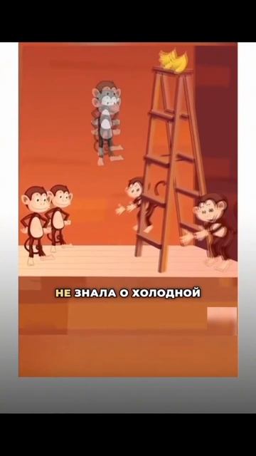 Ты никогда не станешь богатым, если будешь слушать окр
