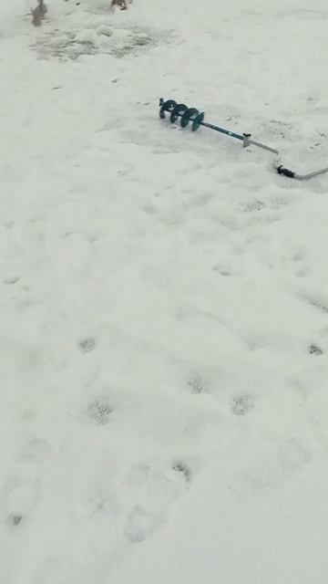 Погода как раз для рыбалки😁 #рыбалка #fishing