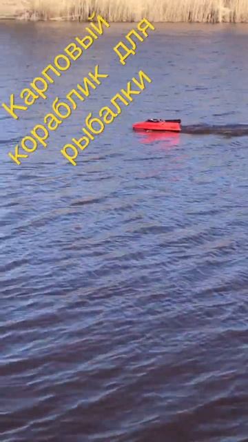 #карповый кораблик #рыбалка #рек #рекомендации #карпфи?