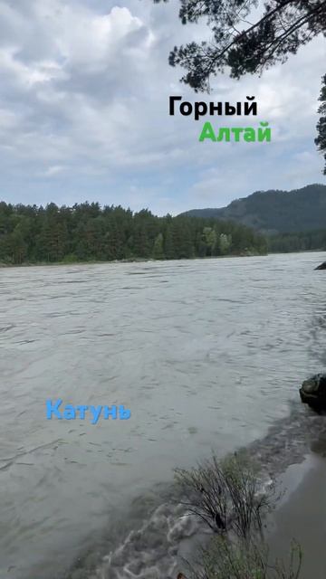 Горный Алтай Река Катунь #катунь #горный #алтай #горный