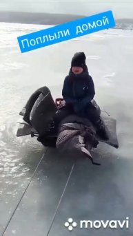 #сибирский_Паддингтон #весна #рыбалка #лёд #таетлёд #ча