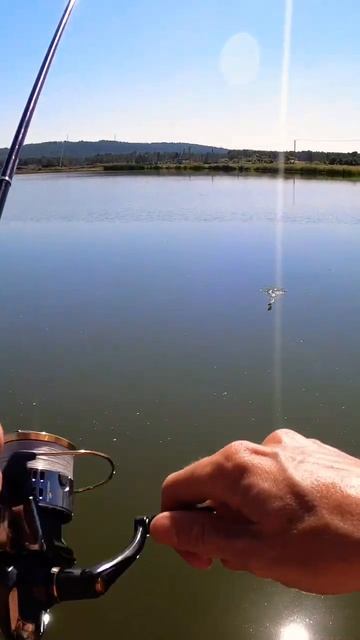 Окунь на Tict ice cube 69f. #fish #fishing #icecube #микроджиг
