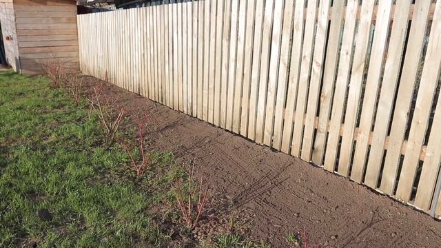 Детская площадка. Земельные работы. (часть1)