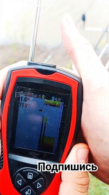 всегда и везде рыба #2023 #fishing #рыбалка #2024 #shortsvideo