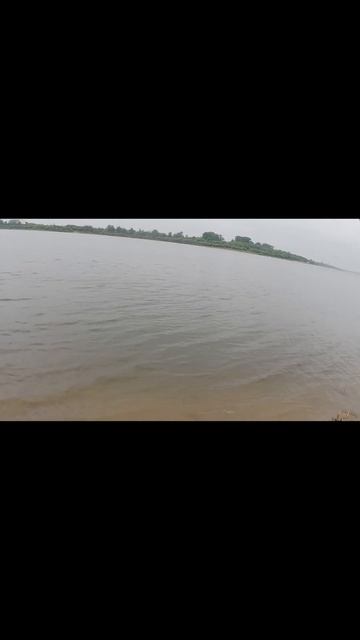 Фидер- это Интересно
