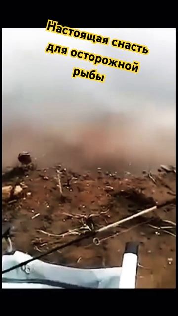 Настоящая снасть для осторожной рыбы #рыбалка #рибалк?