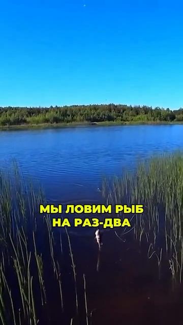 Скоро открытие сезона!!! #bassfishing #рыбалка