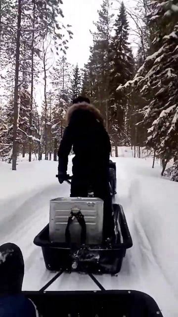 на рыбалку на мотособаке#мотобуксировщик#зима