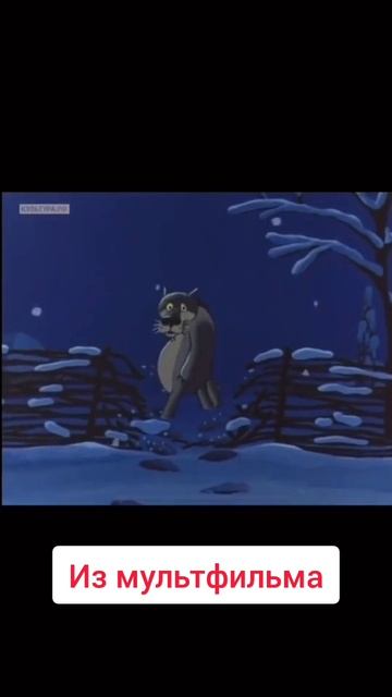 Не будь волком - будь человеком