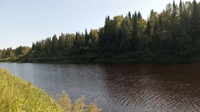 прекрасный денёк . удачный улов с удочкой самый лучший