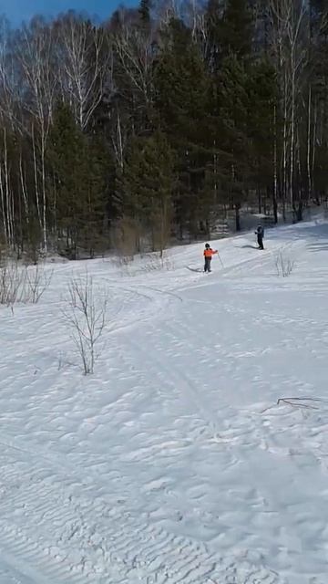Лыжная прогулка в парке «Лесная Республика». Новокузн
