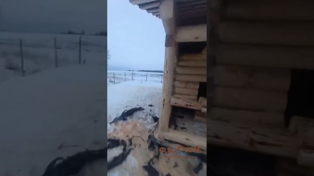 Сруб бани 4х5+2 крыша развернута в коньке.