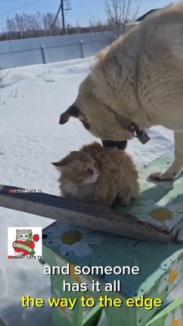 Сегодня Бог проснулся утром рано 😇🌞🌈💓😻 God woke up early this morning