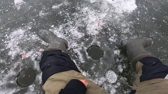 БЕШЕНЫЙ КЛЕВ НА МИНСКОМ МОРЕ!!! ЛОВИМ НА ПОПЛАВОК ОГРОМ
