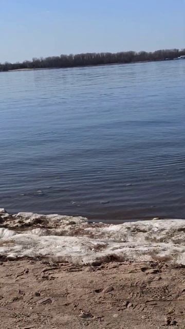 Сижу на бревнышке