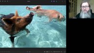 «Исцеление двух бесноватых» ЕВАНГЕЛИЕ ОТ МАТФЕЯ 8:28-34
