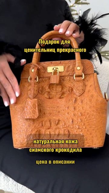 Цена модели из крокодила 76 500₽. Шоурум в СПб. Больше но?