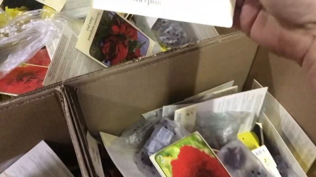 Обзор🌺 покупки🌺 Роза, гладиолусы, гортензии 🌺