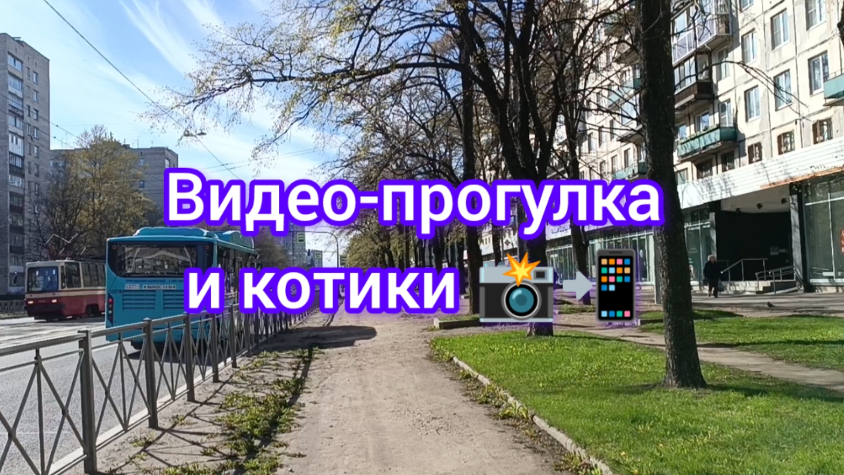 Видео-прогулка и котики 📸😺 13.05.25