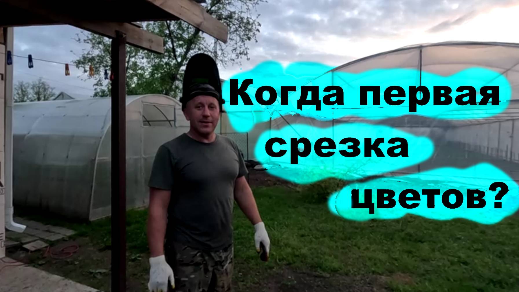 #256 Подготовка к срезке первого урожая цветов.