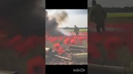 В поле маки.