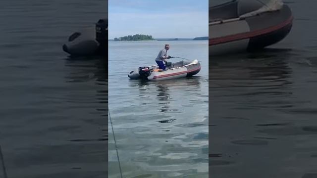 Вот это борьба! 💪