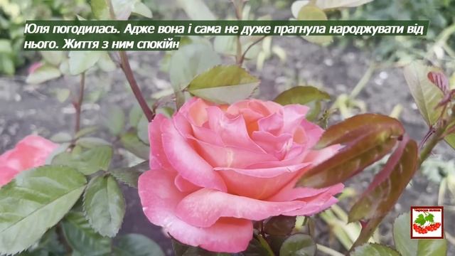 Коханий хлопець одружився на молодшій сестрі. Життєва історія.