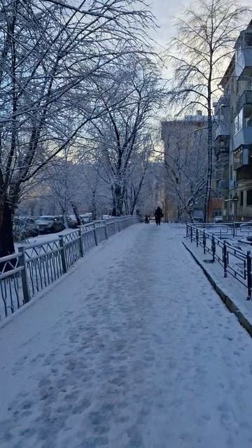 Снежно