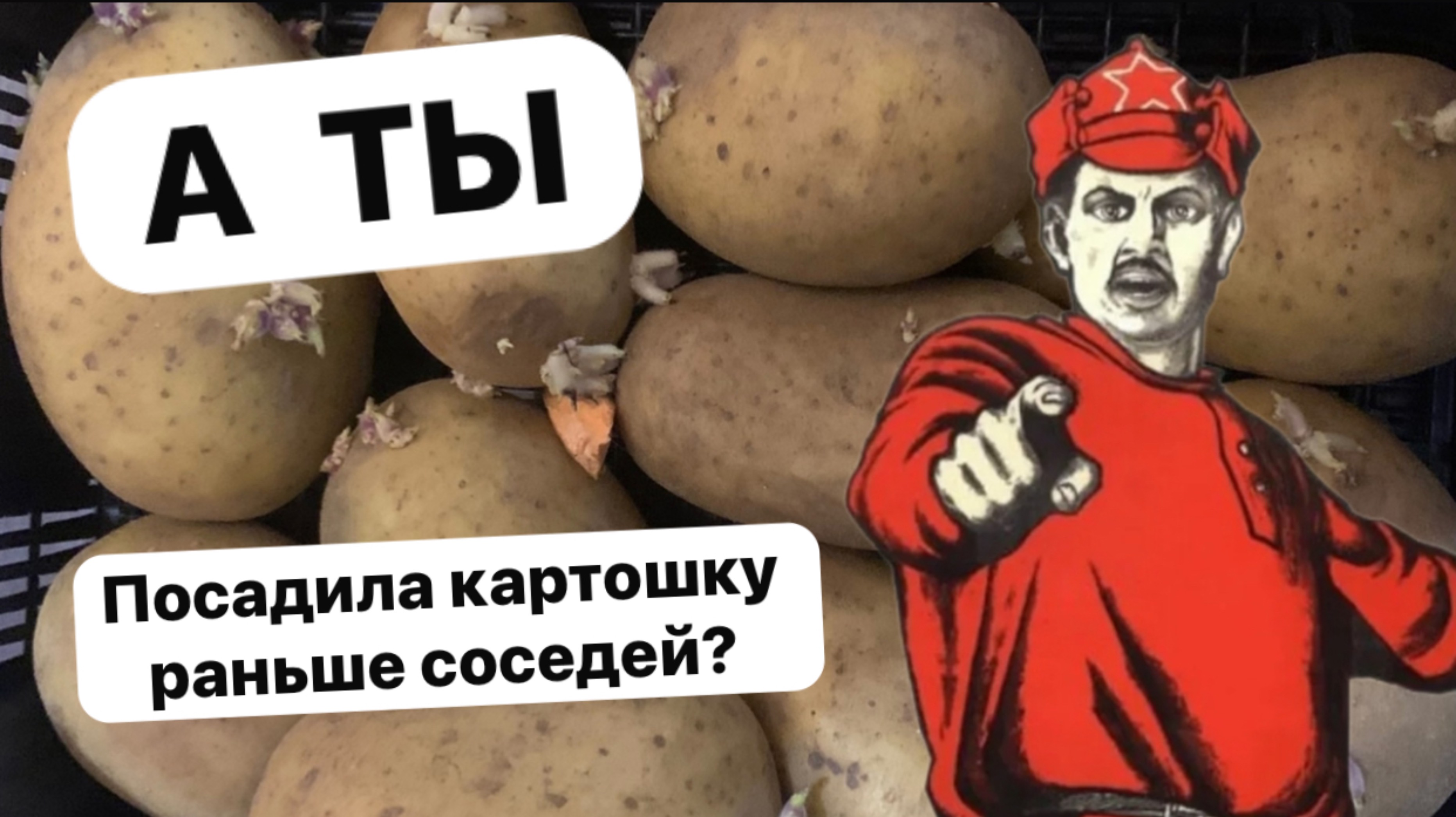 ТВОЯ картошка 🥔 ВЗОЙДЕТ раньше 🚀 если, отправишь это видео 10 садоводам 
Сорта см. в описании