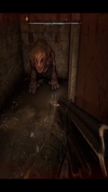 STALKER 2 Heart of Chornobyl: Гребаные телепорты. #shorts #сталкер #stalker2