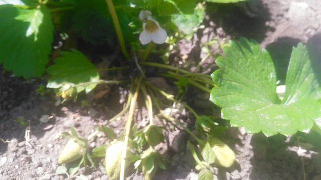 VID_20250506_104350