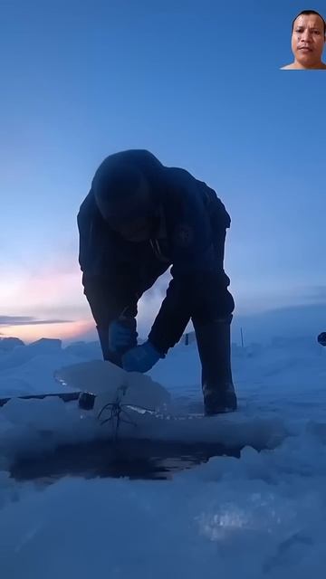#клеваярыбалка #якутия #wow #winter #icefishing #fish #icefishinglife #winterfis