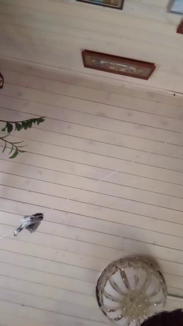 1000017785.mp4