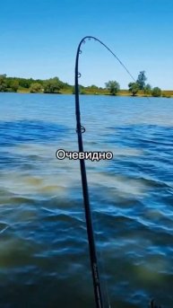 ✅рыбалка после грозы #рыбалка #рыба #карп #сазан #белый
