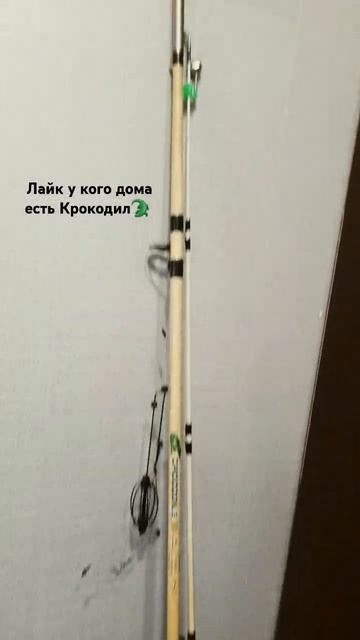 А у вас есть Крокодил?🤔