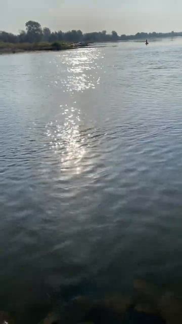 Шикарно забросил на точку! #рыбалка #рыбак #fishing #angeln #сп