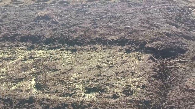 √2 Подготовка траншей и подкисление грунта для голуби
