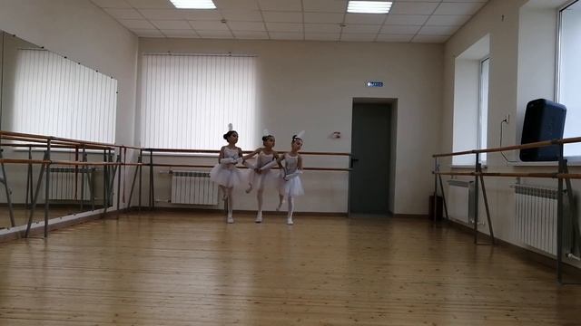 Танец маленьких лебедей, Созвездие