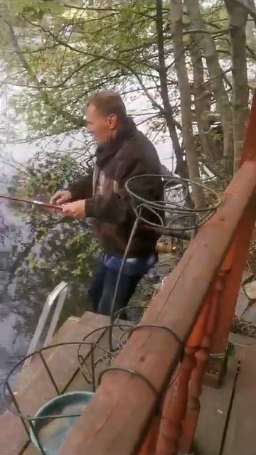 Щука на китайскую сеть с кормушкой.