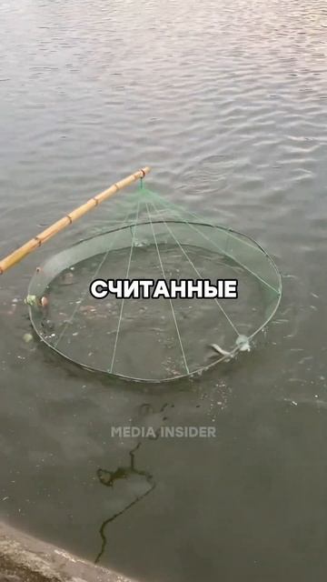 Поймал рыбу на арбуз🐟🍉