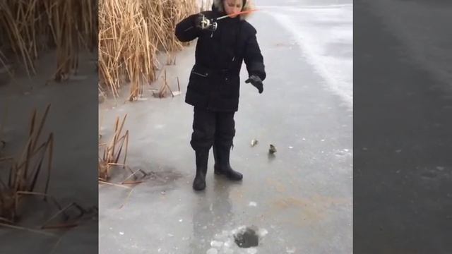 Первые окуня в жизни из подо льда