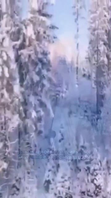 Совместный дом двоем #shots #совместно #совместный #лесок