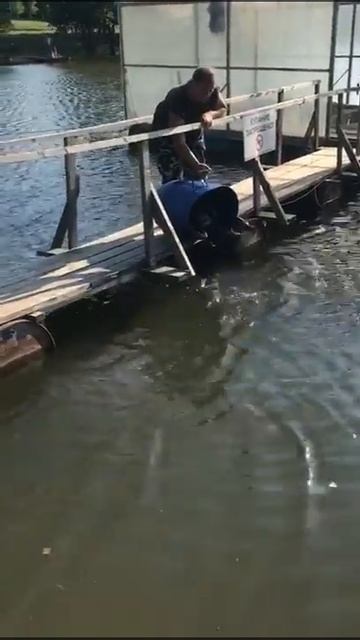Доброе утро РК Фиш'ка Данилово представляет. Зарыблен?