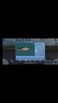 КЕТА ТРОФЕЙ НА ОХОТСКОМ МОРЕ В РЕАЛЬНАЯ РЫБАЛКА 2