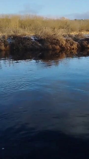 Рыбалка в ноябрьский плюсовой день.