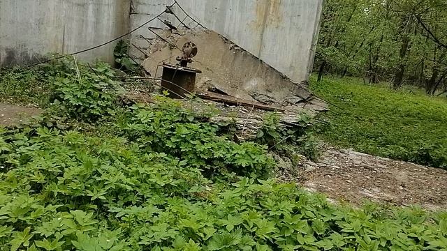 13.05.2025.Усадьба Парк Кино Ляхово. Парк Кошек. Домодедово.Уборка.Вывоз навалов порубочных остатков