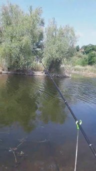 Летняя рыбалка на поплавок.