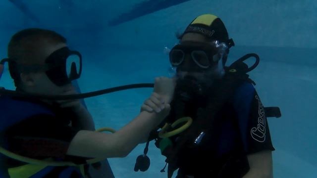 1.11.18.📚Занятия в бассейне МЧС с Pro Diving Club по CMAS*(ПОДВОДН?
