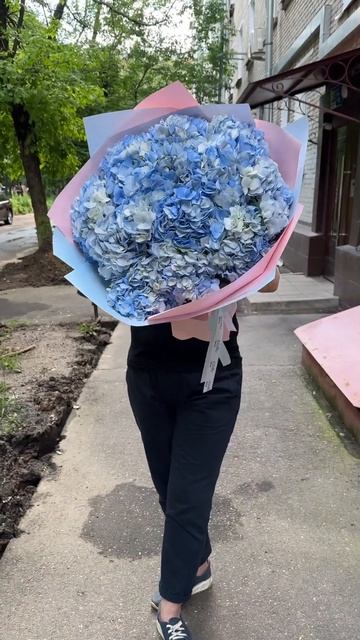 15 голубых гортензий #цветымосква