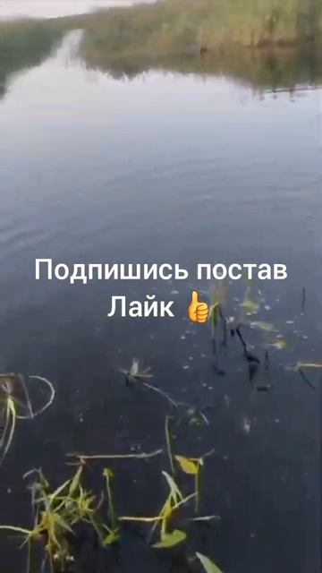 рыбалка это самый лучший отдых 🐟👍